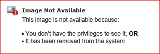 Shopify_7.png